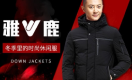  雅鹿集团：中国服装行业龙头企业与绿色服装产业先锋